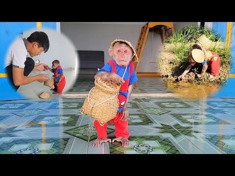 Super Touching! Su Catch Snail Earn Money Only For This Unexpected Reason!