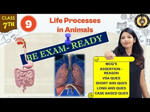 Important Questions | Chapter 9 Life Processes In Animals | Class 7 Science Curiosity