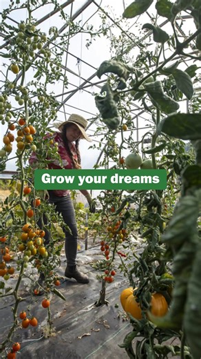 It’s never too early to start thinking about next year’s garden! Start gearing up for spring planting by choosing exceptional seeds, plants & supplies from Territorial Seed Company. | Territorial Seed Company