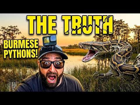 The Burmese Python INVASION Explained! | NOT What You THINK!