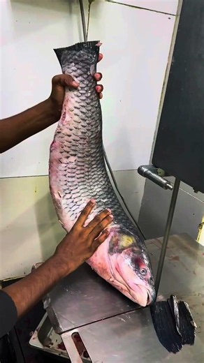 Super massive, amazing river, black carp, cutting skill, beautiful video #fish #viral #youtube