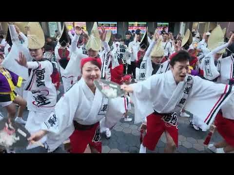 浅草雷連 流し踊り＆組踊り｜第5回 浅草阿波おどり｜2026年10月11日(日)｜Awa Odori