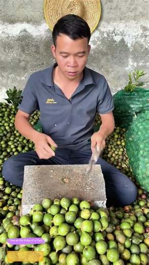 Hammering Open a Green Treasure: How Traditional Tools Unlock Nutty Goodness