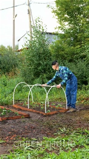 🌱 Gardening Magic: Time-Saving Tips for a Flourishing Garden! 🌼 #shorts #diy #gardening