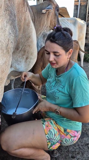 Traditional Cow Milking Process 🐄 | Village Life & Organic Farming Experience #villagelife