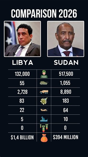 Libya vs Sudan Military Power 2026 🇱🇾🇸🇩