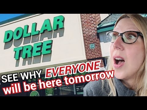 DOLLAR TREE | WATCH SO YOU KNOW WHAT TO EXPECT at Your DOLLAR TREE | COME WITH ME TO DOLLAR TREE