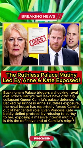 Camilla KICKED OUT! The Ruthless Palace Mutiny Led By Anne & Kate Exposed!