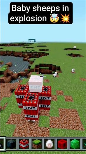 Baby sheep in explosion 💥 🤯 #minecraft #shorts