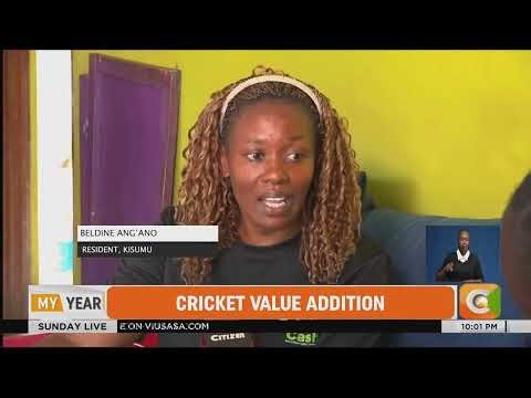 | Chirping champs | Crickets gain value through flour for cookies and chapati |