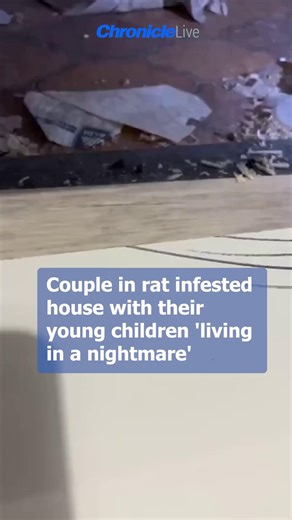 The Chronicle on Instagram: "Couple in rat infested house with their young children 'living in a nightmare'"