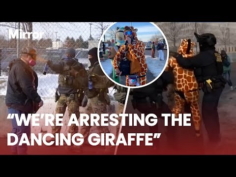 ICE agents PEPPER SPRAY and arrest Minneapolis protestors as demonstrations continue