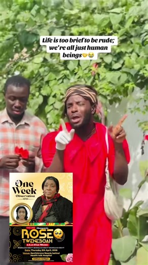 Cute Baby Otter Compilation