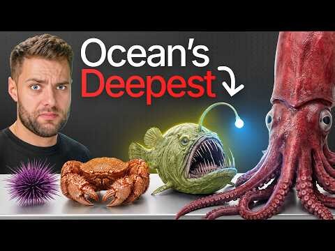 I Cooked the World’s Deepest Sea Creatures