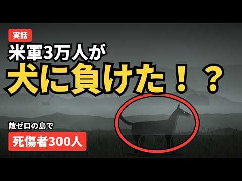 米軍、犬相手に死傷者300人…霎の中で消えた日本兵5000人【キスカ島撤退作戦】