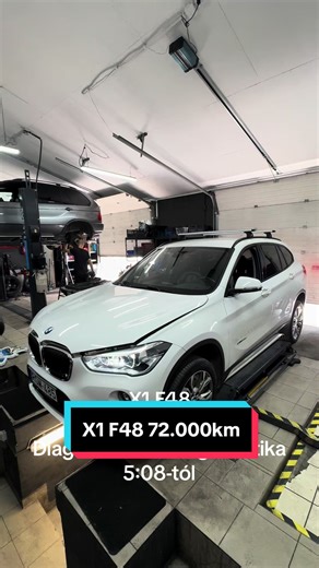 BMW X1 F48 Service Details and Diagnostics