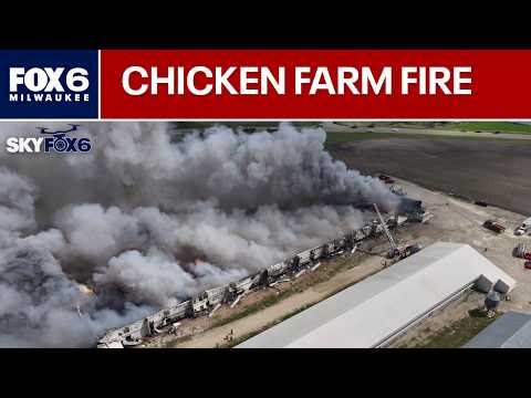 Fire at Wisconsin chicken farm | FOX6 News Milwaukee