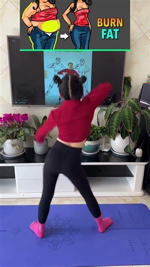 The 10 Minute No Jump Seated Belly Fat Burner Challenge!