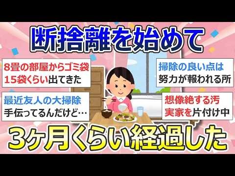 掃除が持つ力について「断捨離を始めて3ヶ月くらい経過した」断捨離・捨て活・片付け・ミニマリスト【有益】ガルちゃん