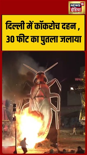 Cockroach Incineration in Delhi, 30 फीट का पुतला जलाया #shorts #viralnews #viralvideo