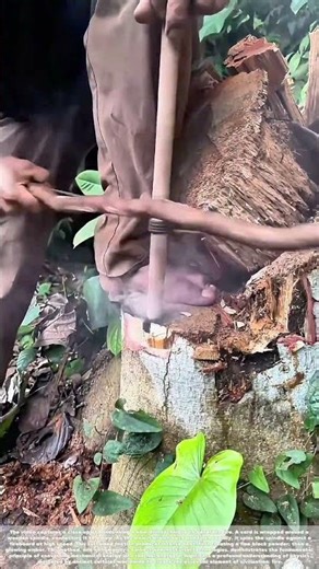 Friction Ignited: The Ancient Science of Fire from Friction