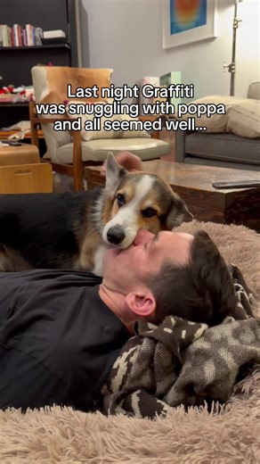 Graffiti's Journey: Overcoming a Scary Night