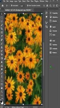 How to Create a Dreamy Glow Effect in Photoshop