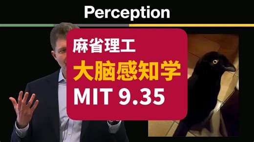 【麻省理工】大脑感知学 | Mit 9.35 Perception Spring 2024