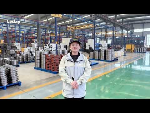 Leday Transmission Parts: Quieter & More Efficient