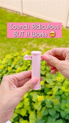 Late‑Summer Mosquito Hack That Actually Works (I Know… Sounds Ridiculous)