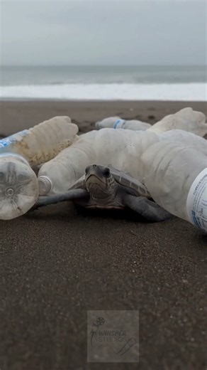 The Earth Doesn't Forget What We Throw Away. 🌍💔 | Think Before You Throw #Shorts