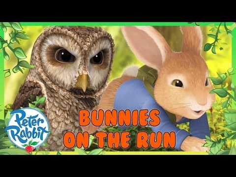 @OfficialPeterRabbit | 🌳🍃 Bunnies On The Run 🐰💨 | 1 Hour | Cartoons For Kids
