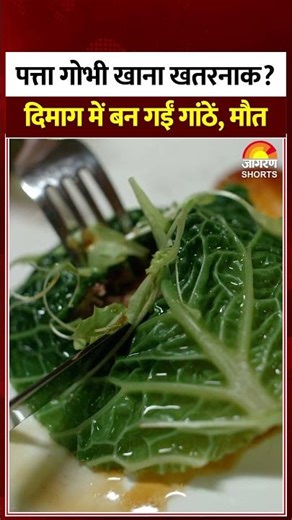 पत्ता गोभी खाना खतरनाक? दिमाग में बन गईं गांठें, मौत। Cabbage Side Effects। Tapeworm #shorts