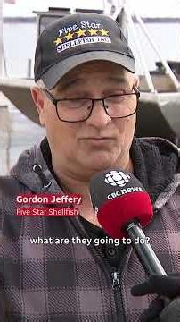 '100% dead': P.E.I. oysters wiped out by disease