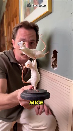 This_Mini_Mouse_Park_Is_Amazing!🔥