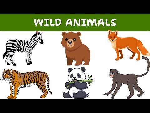 Wild Animals for Kids 🐯🦁 | Learn Animal Names & Sounds | Jungle Animals for Children
