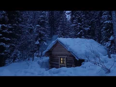 Falling Snow & Wind 🌨️ Cozy Winter Nature Sounds for Relaxation