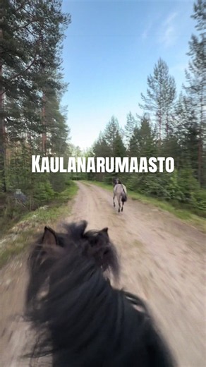 Kaulanarumaasto: Helmi ja Kaitsu maastoilemassa