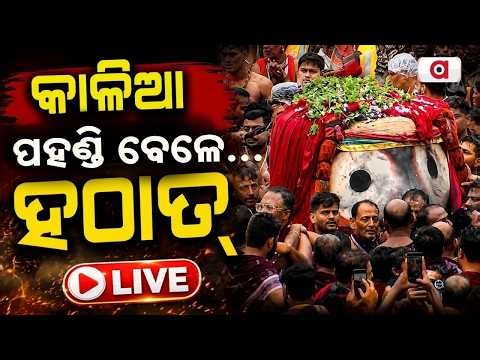 🔴Live | ହଠାତ୍ ଏମିତି ଘଟିଲା...| Jagannath Pahandi | Puri Rath Yatra 2026 | Argus News