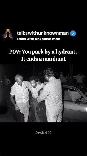 POV: You park by a hydrant. It ends a manhunt. #truecrime #nyc