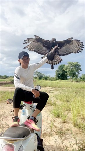 He Holds Out His Hand… Then a Giant Raptor Lands! 😱🦅🔥 #wildlife