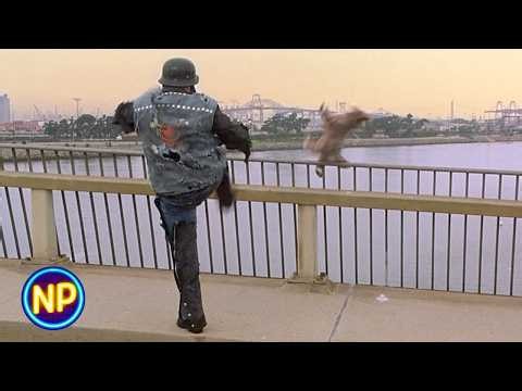 Drop Kicking the Dog Off a Bridge | Anchorman: The Legend of Ron Burgundy
