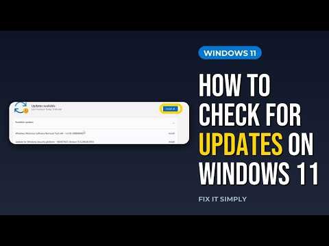 How to Check for Updates on Windows 11 (Real Demo)