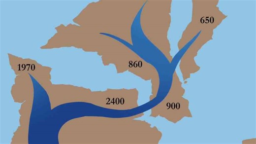 Sci-fi’s most detailed alien life form