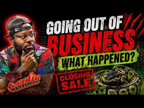 Learn This Now or FAIL as a Ball Python Breeder