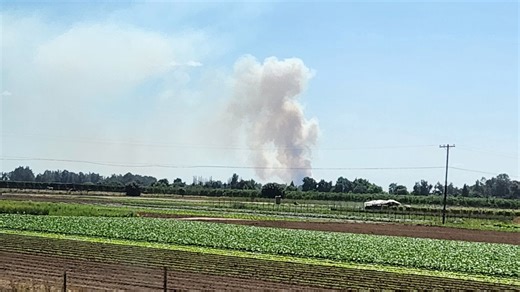 North fire grows to 57 acres with 0% containment, CAL FIRE says