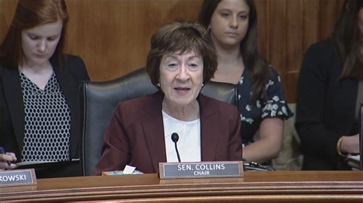 Sen. Collins announces $10 million in funding to prevent spruce budworm outbreak
