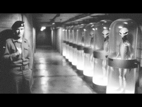 Miami mall aliens 👽 invasion files are being released ufos and uap phenomena conspiracy