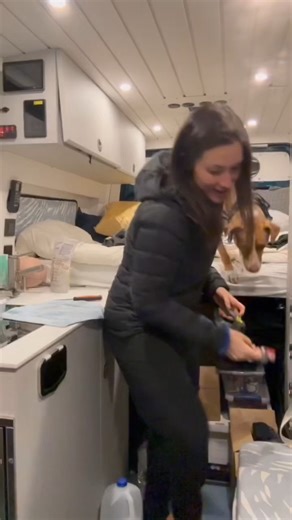 Living in a van at a highway rest stop #vanlife #VanLifeAdventure #vanlifediaries #doglover #reststop #stealthcamping #travel | Nikki Delventhal