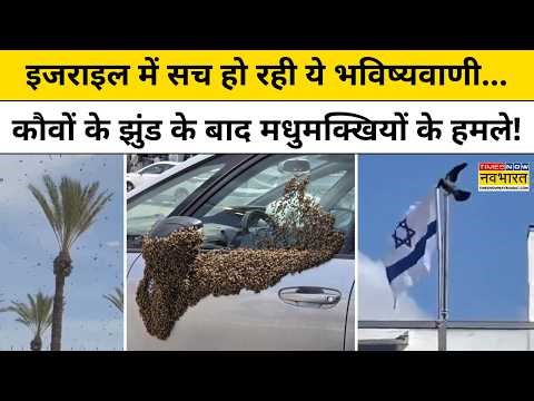 Israel Bee Attack Explainer: इजराइल में क्यों बढ़ रहे हैं मधुमक्खियों के हमले? | Latest News